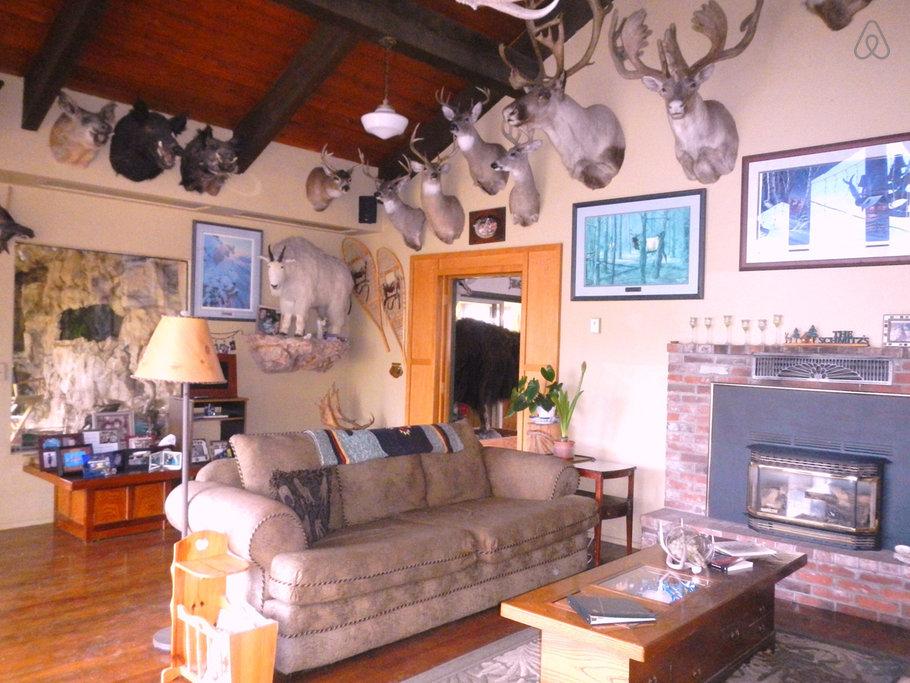 Pet Friendly Grangeville Airbnb Rentals