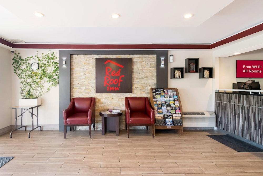 se permiten perros en lookout mountain tn