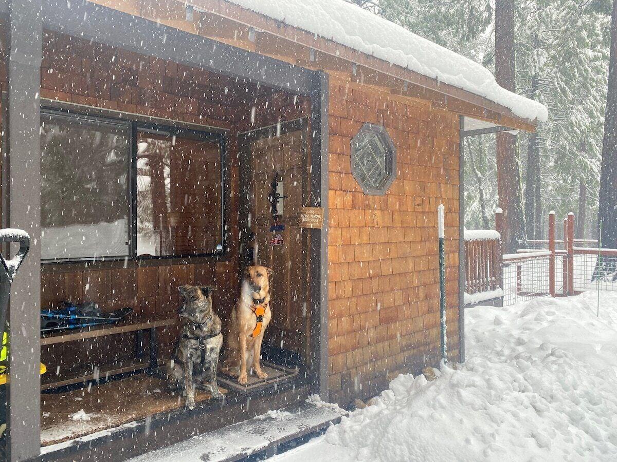 Pet Friendly 2 Dog Lodge