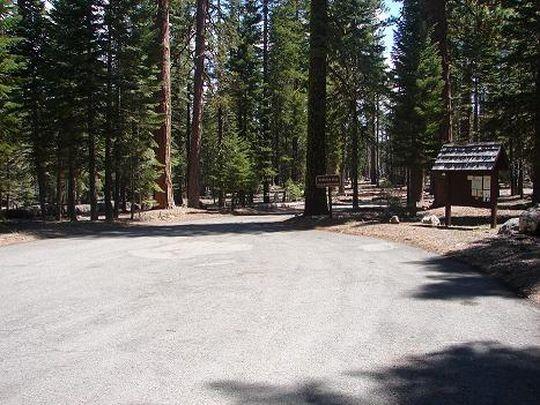 Pet Friendly Lost Creek Group Campground