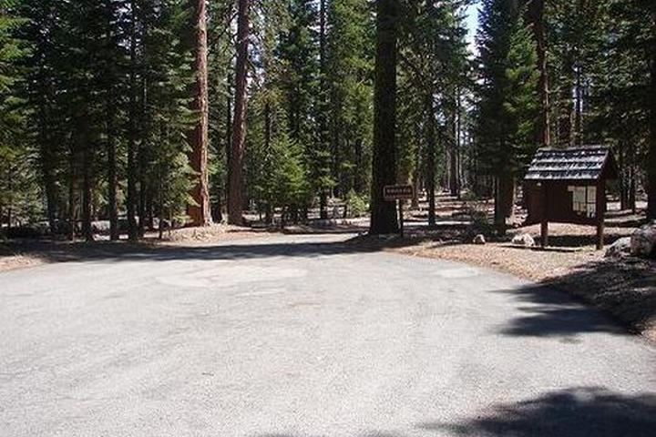 Pet Friendly Lost Creek Group Campground
