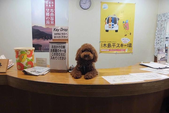 Pet Friendly Hotel Chene Kijimadaira