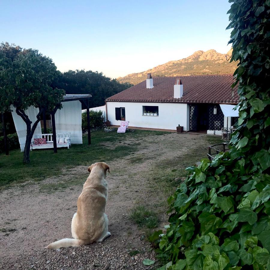 Pet Friendly B&B La Tasgia