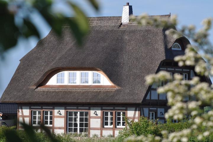 Pet Friendly Rügen-Cottage