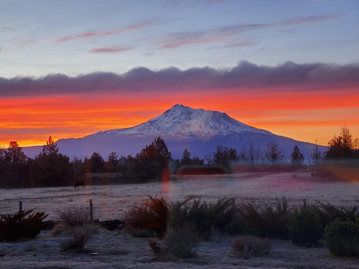 Pet Friendly Montague Airbnb Rentals