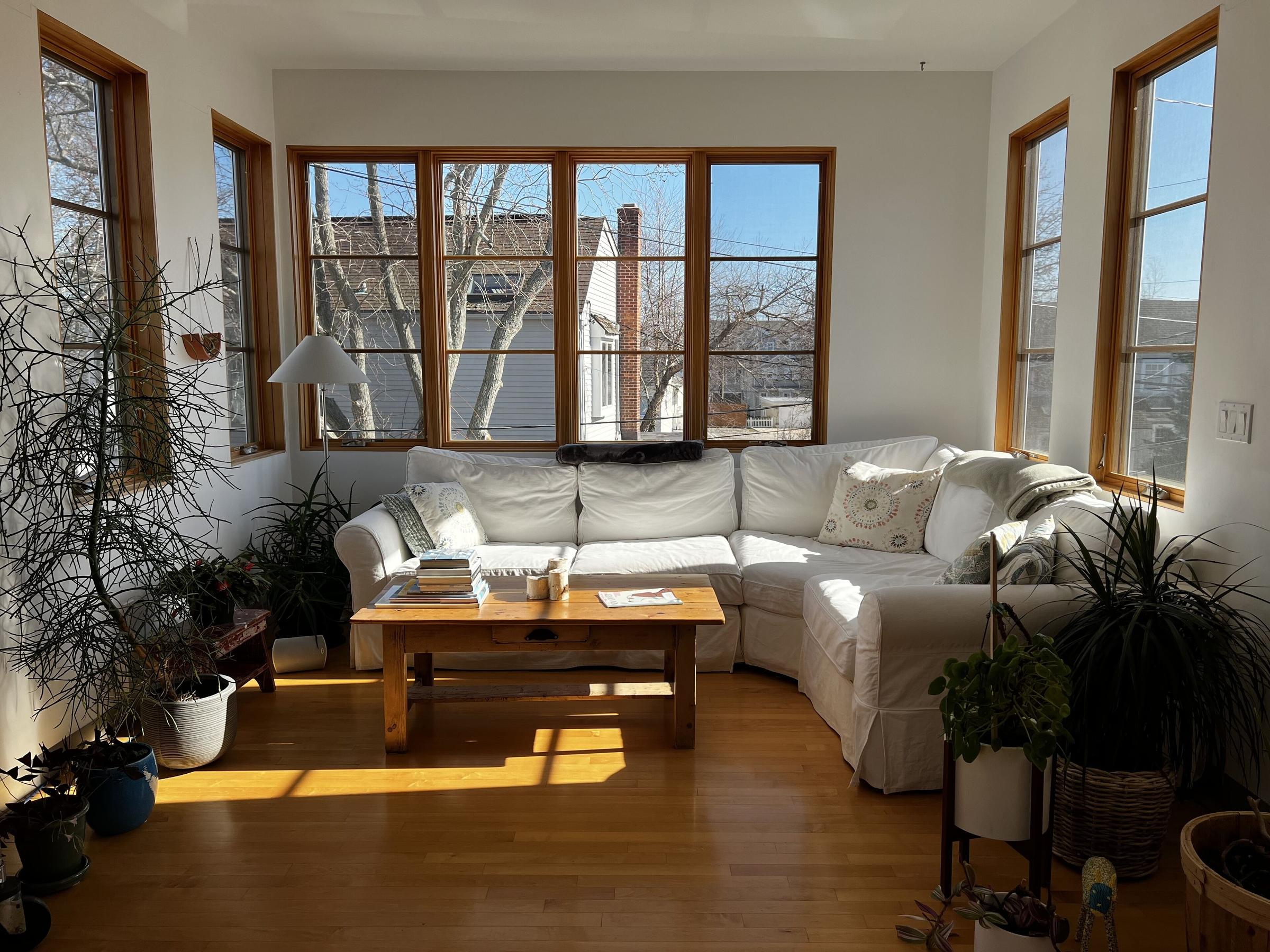 Pet Friendly 6 Promised Road