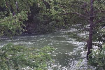 Pet Friendly Vacation Rentals In Bandera Tx Bringfido