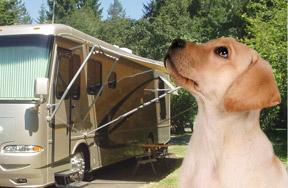 Pet Friendly Campgrounds In Ohio Bringfido