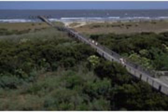 Pet Friendly Grand Isle State Park Campground