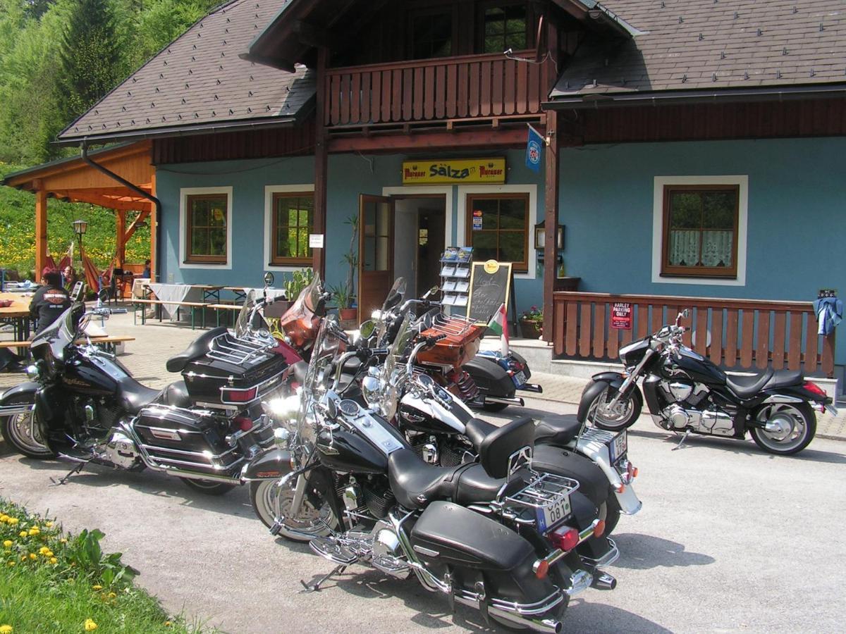 Pet Friendly Camping Und Chalet Saggraben