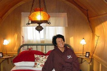 Pet Friendly Hotels In Primm Nv Bringfido