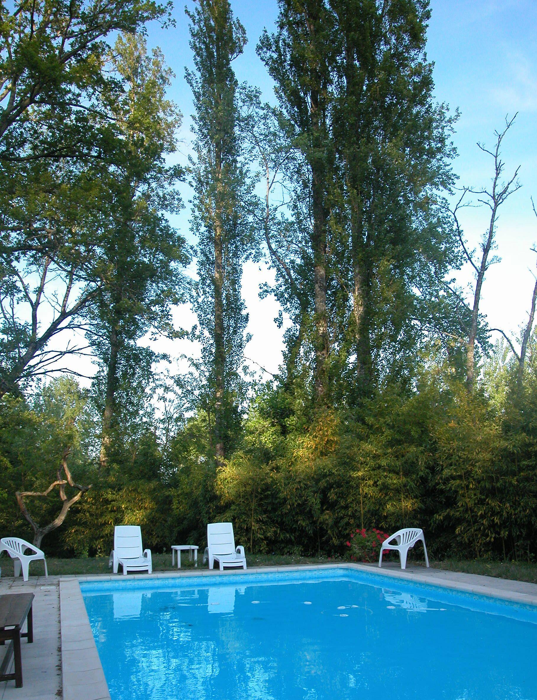 Pet Friendly Moulin de la Belle Gasconne