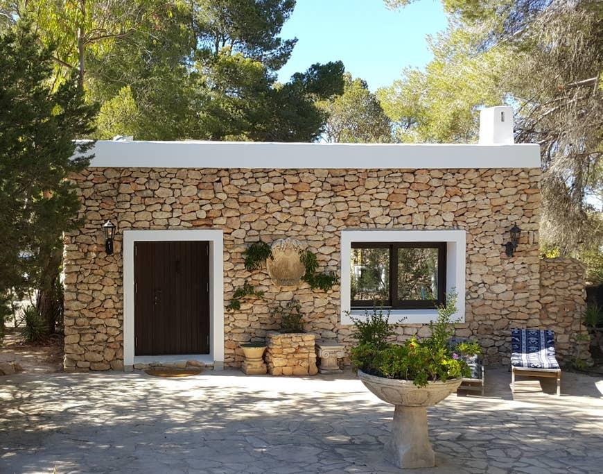 Pet Friendly Ibiza Airbnb Rentals