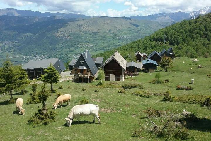Pet Friendly Saint Lary Soulan Airbnb Rentals