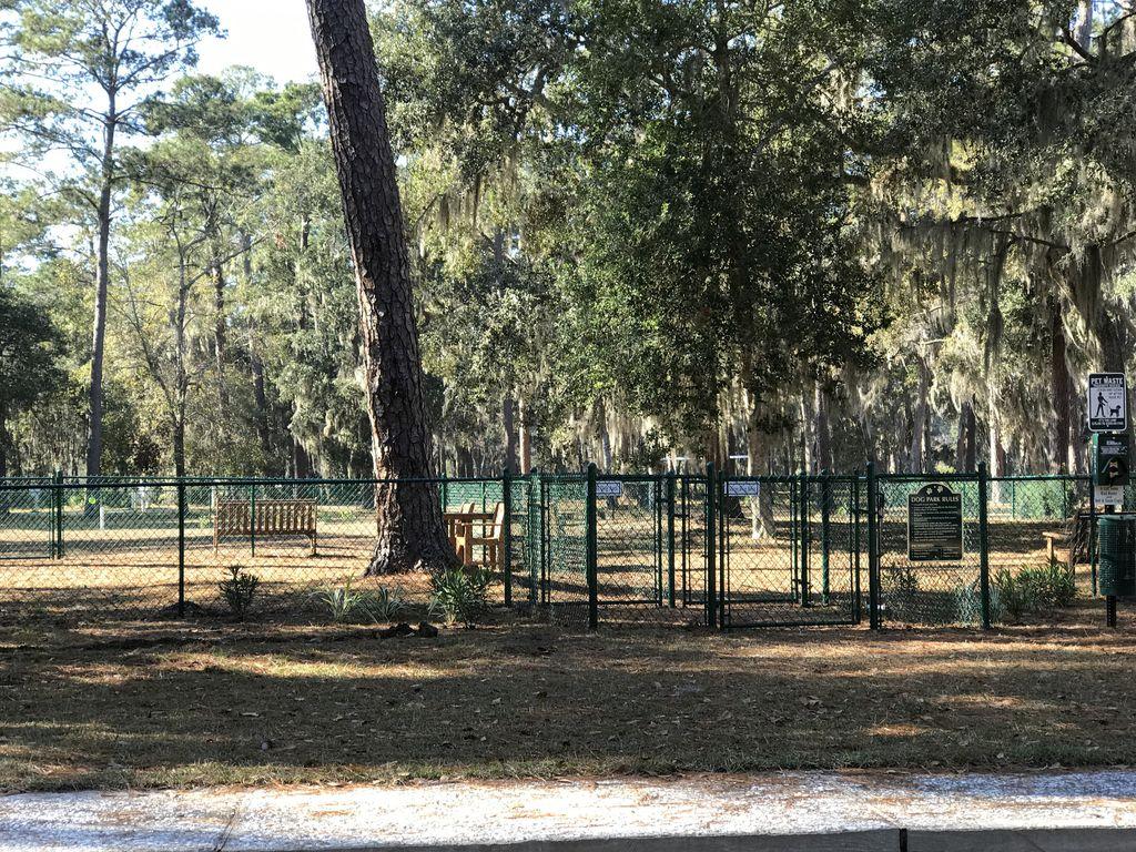 am i able to take my dog on daufuskie island