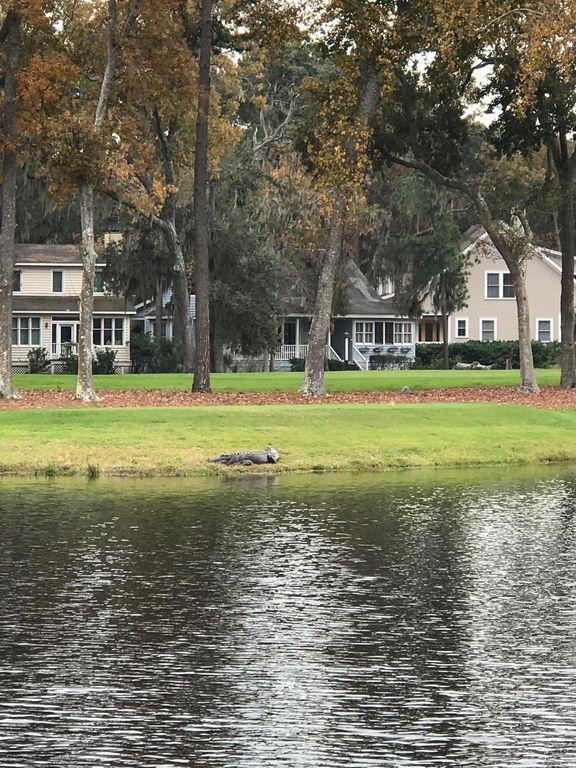 am i able to take my dog on daufuskie island