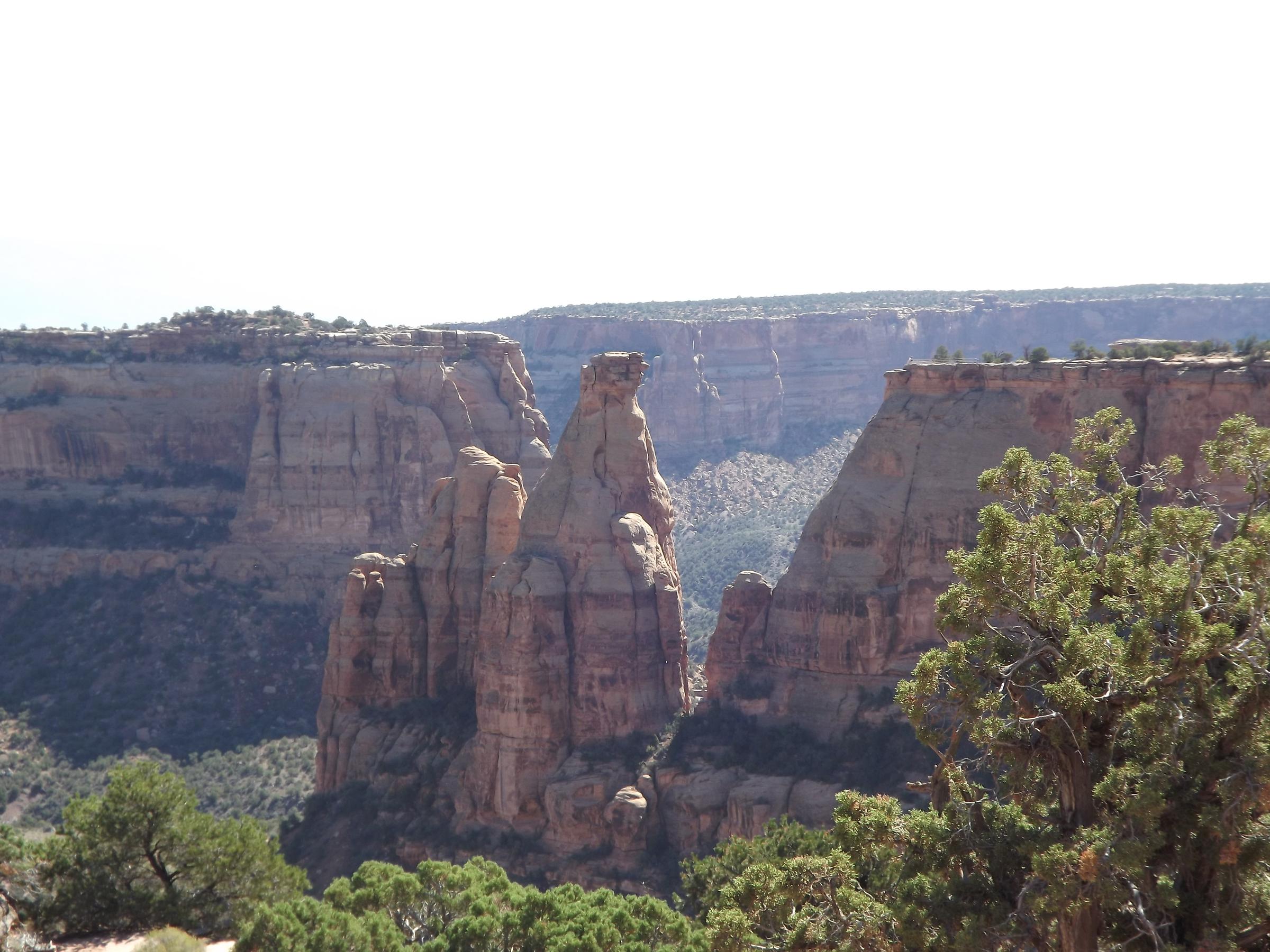 Grand Junction KOA Pet Policy