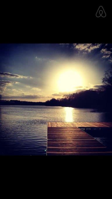 Pet Friendly Hotels In Cordova Tn Bringfido