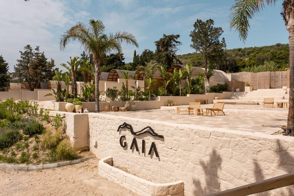 Pet Friendly Gaia by the Sea - Adult Only