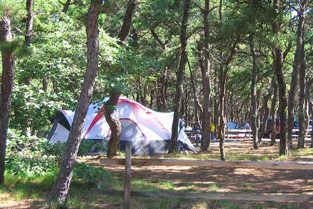 Pet Friendly Adventure Bound Camping Resort