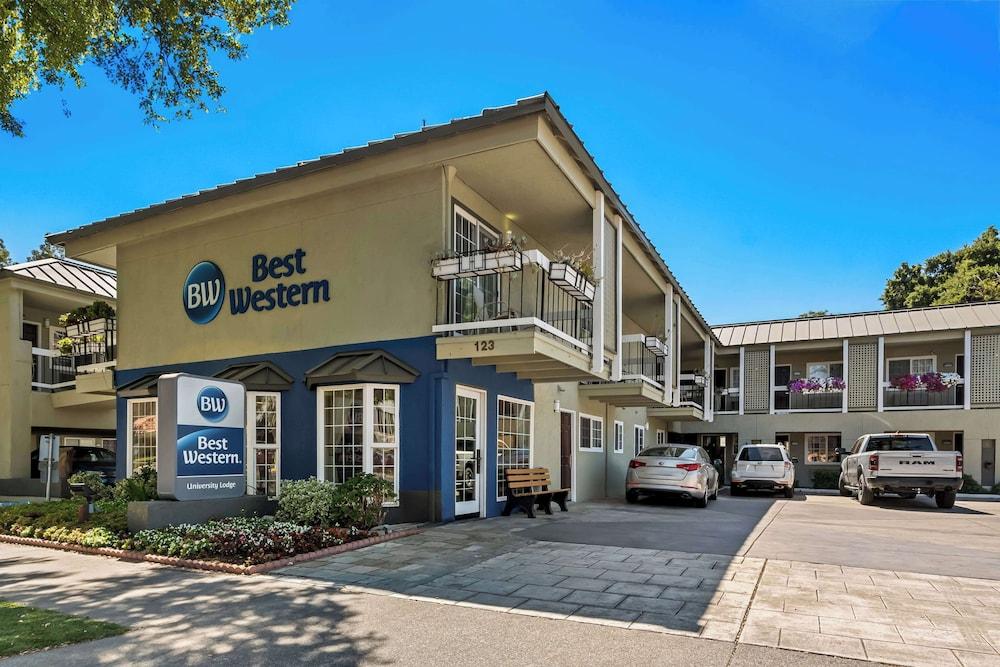 Pet Friendly Best Western University Lodge