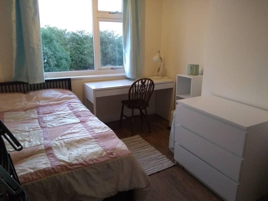 Pet Friendly Coventry Airbnb Rentals