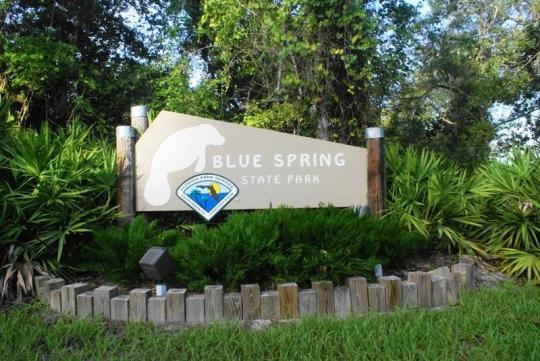 Pet Friendly Blue Spring State Park Campground