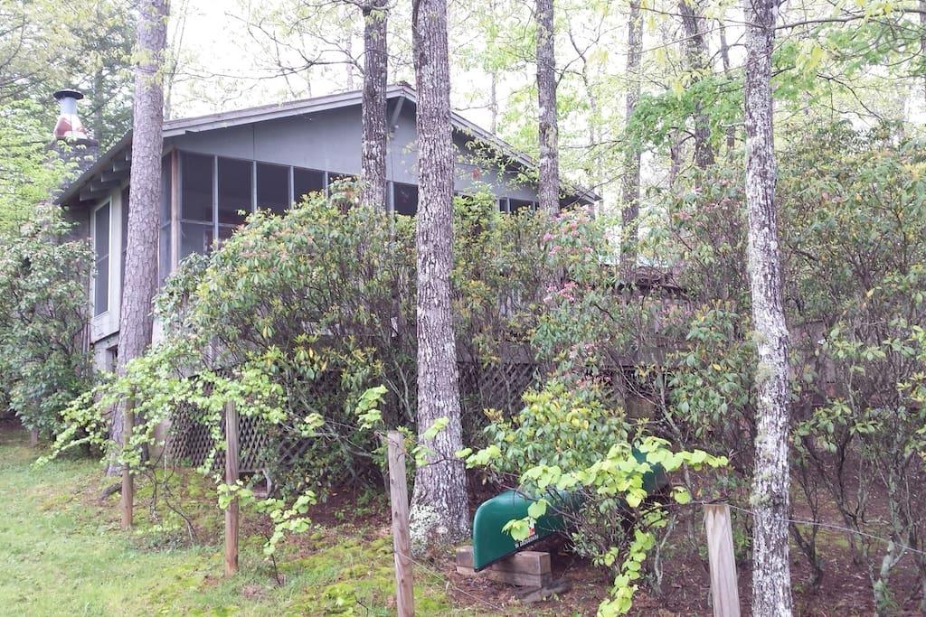 Pet Friendly Vacation Rentals In Mountain Rest Sc Bringfido