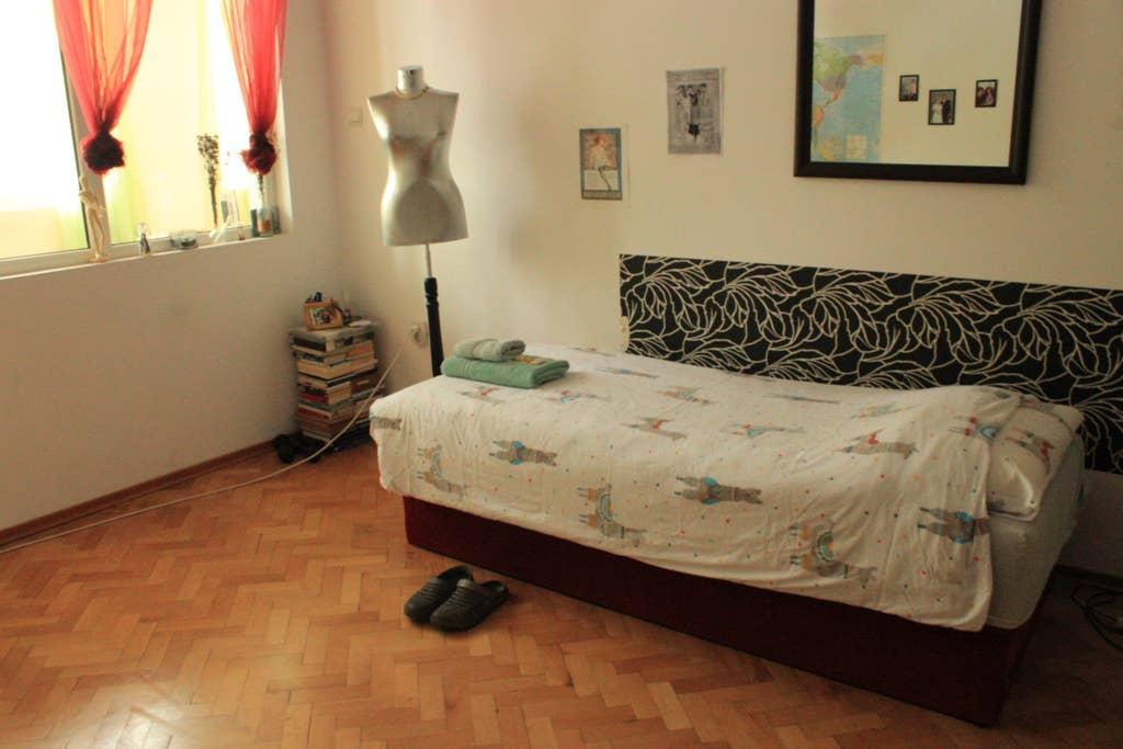 Pet Friendly Stamboliyski Airbnb Rentals