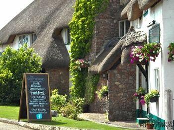 Pet Friendly Hotels In Honiton Uk Bringfido