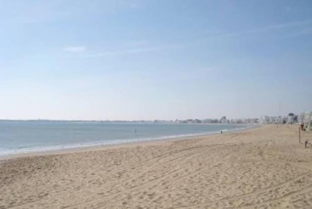 Pet Friendly Apartment 100 M from the Beach