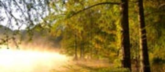 Picture of Wall Doxey State Park Campground, a pet friendly campground in Holly Springs, MS. Picture of Wall Doxey State Park Campground, a pet friendly campground in Holly Springs, MS.