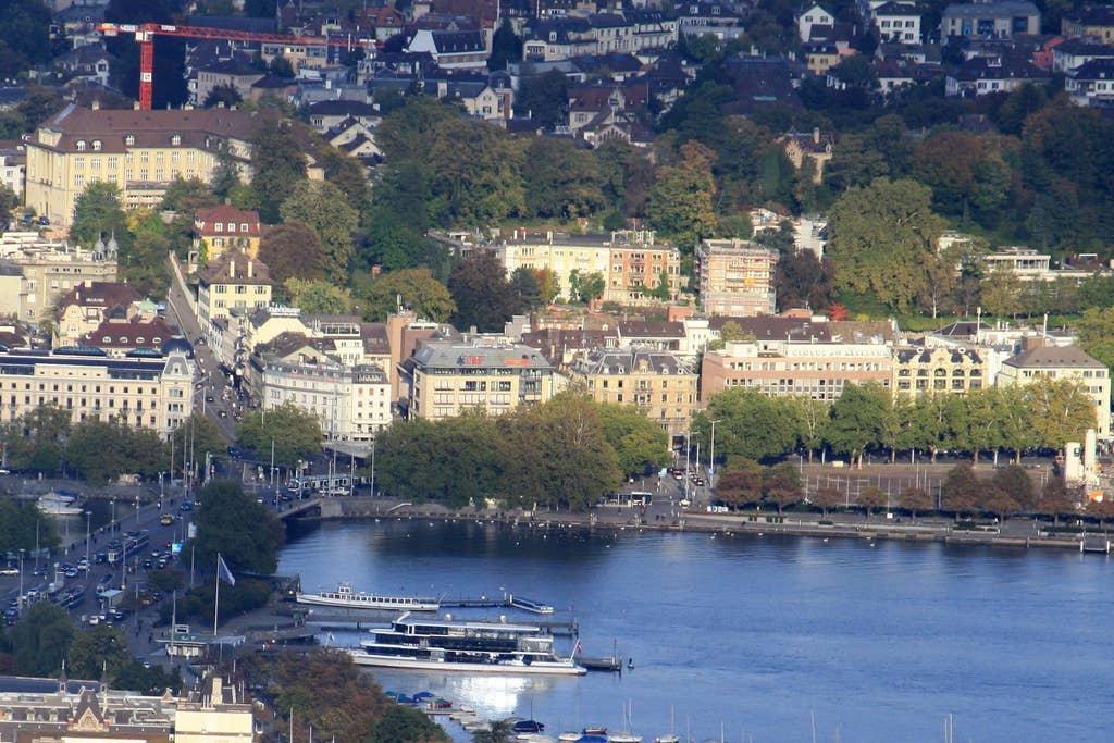 Pet Friendly Zurich Airbnb Rentals