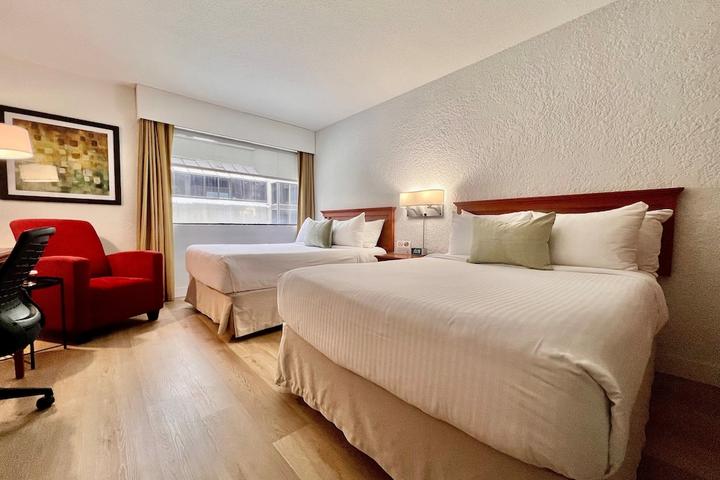 Pet Friendly Hotel Universel Montreal