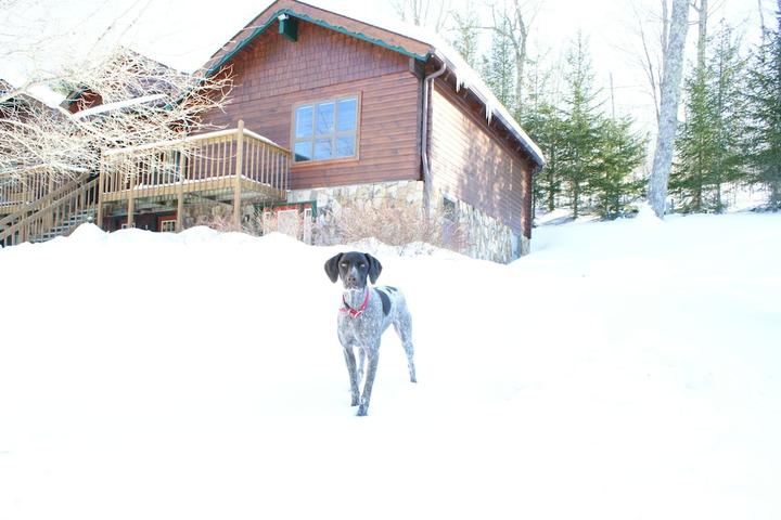 Snowshoe Pet Friendly Lodging Snowshoe Pet Friendly Lodging