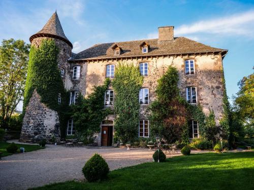 Pet Friendly Château de Taussac