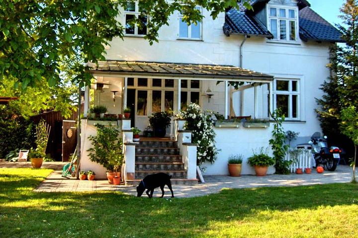 Pet Friendly Holte Airbnb Rentals