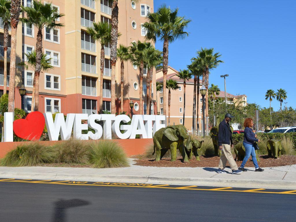 Westgate Town Center Studio Pet Policy