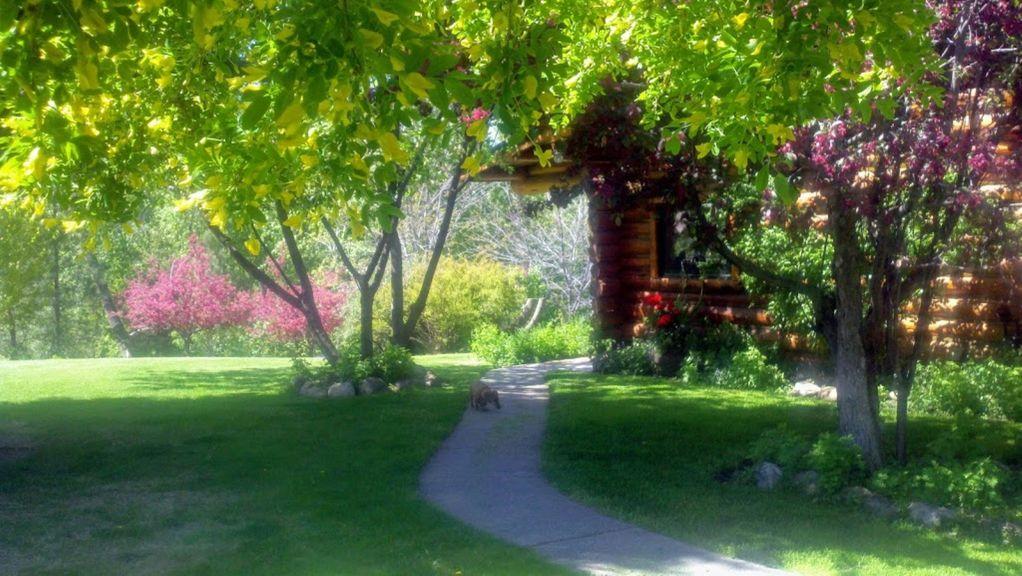 Hidden Jewel Pet Policy