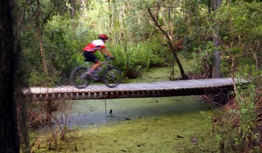 Pet Friendly Alafia River State Park Campground