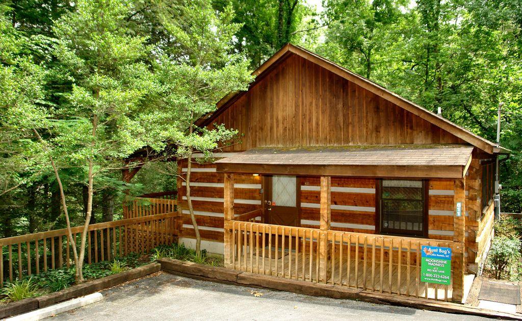 Pet Friendly Hotels In Gatlinburg Tn Bringfido