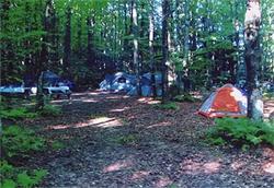 Pet Friendly Maple Heights Campground