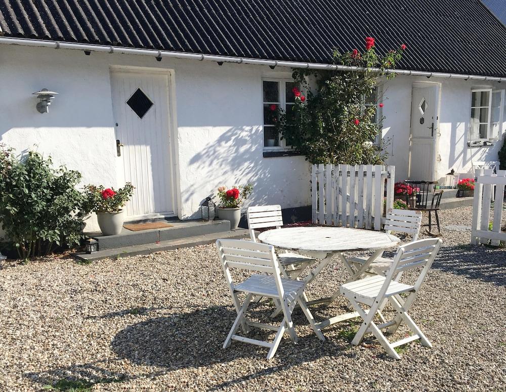 Pet Friendly Ebogaard Bed and Breakfast