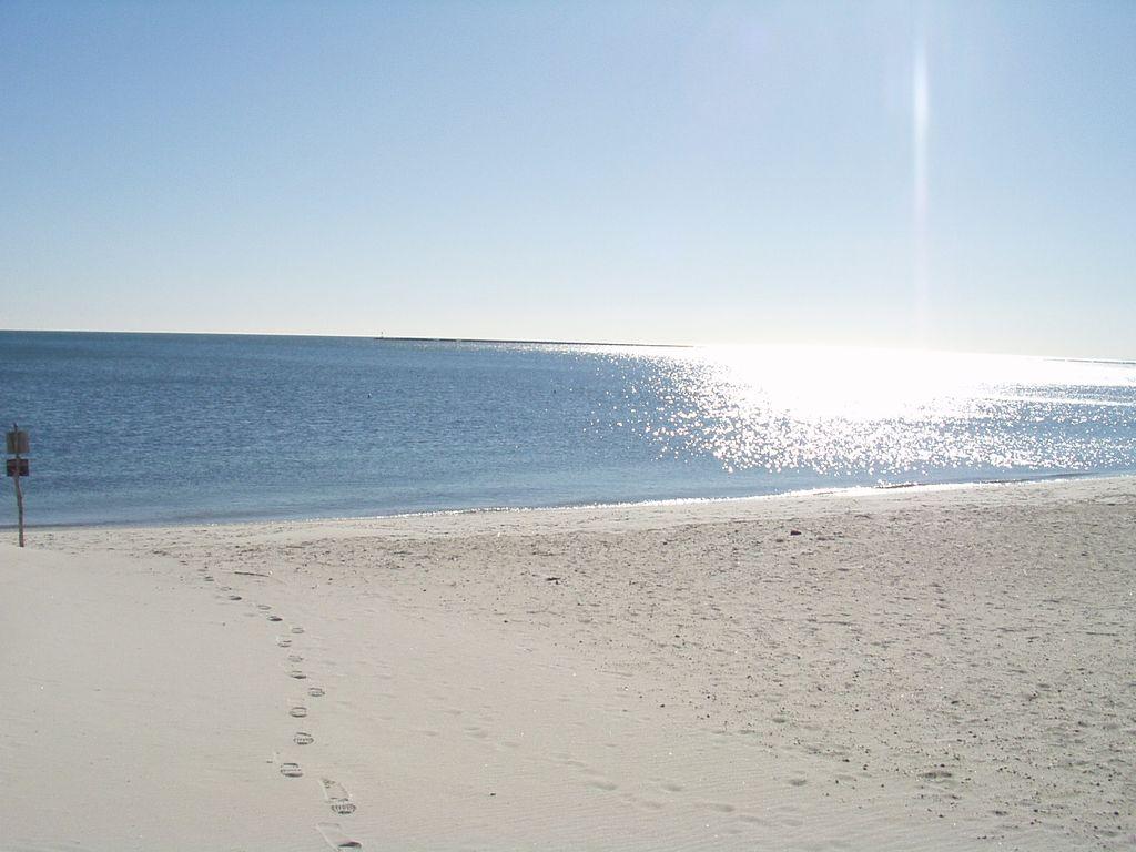 Nantucket Sound Private Beach Home Pet Policy