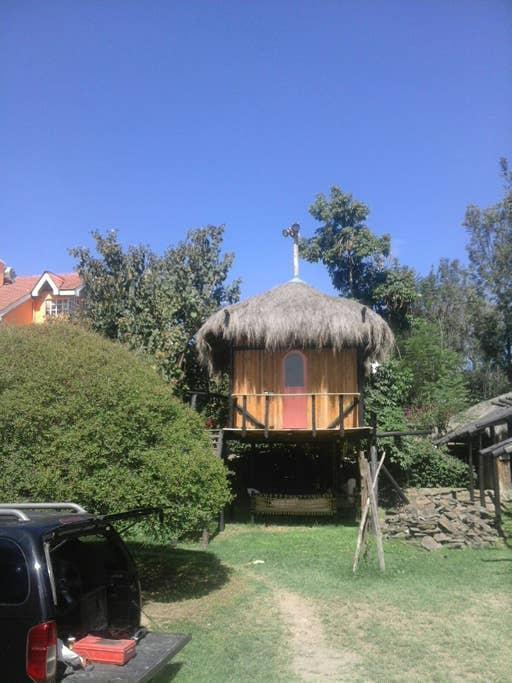 Naivasha Airbnb Rentals Pet Policy