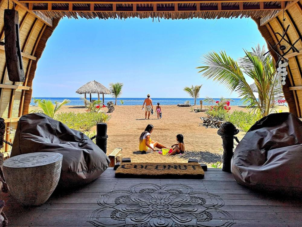 Pet Friendly Coconut Garden Beach Resort