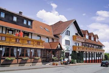 Pet Friendly Hotel Zur Igelstadt