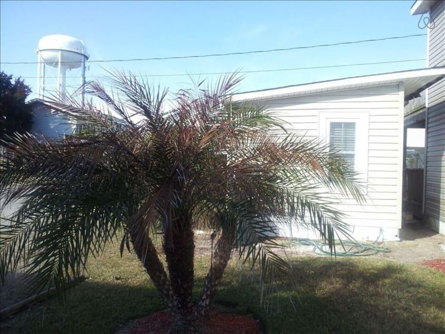 Pet Friendly North Myrtle Beach Airbnb Rentals