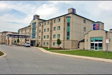 Pet Friendly Hotels In London On Bringfido