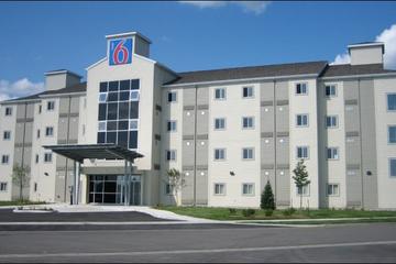 Pet Friendly Hotels In Kingston On Bringfido